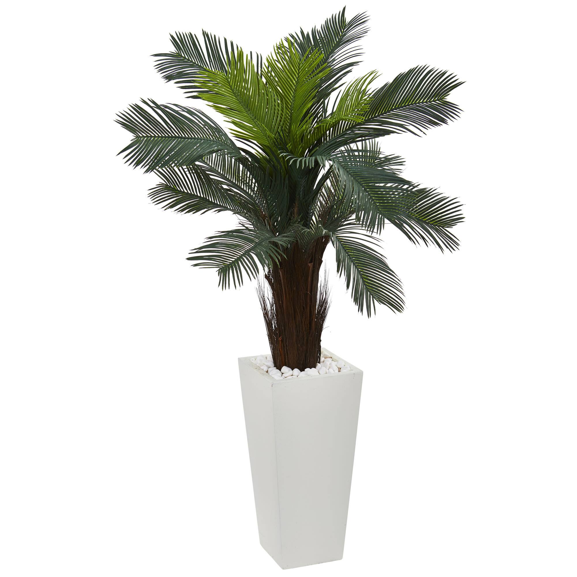 4.5ft. Cycas Plant in White Tower Planter